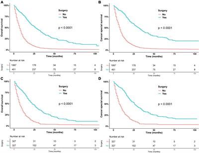 Survival outcomes of surgical and non-surgical treatment in elderly patients with stage I pancreatic cancer: A population-based analysis